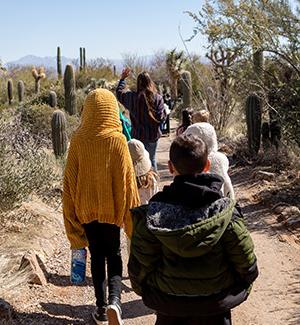 Campers walk through the Desert Museum 